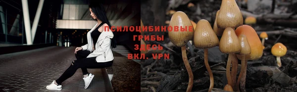 марки nbome Белокуриха