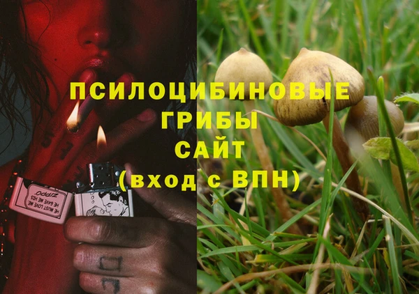 герыч Балахна